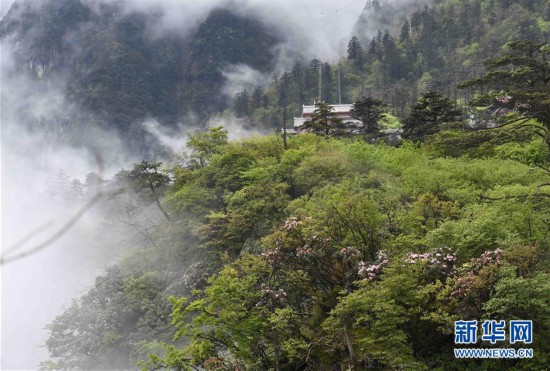 （美丽中国）（2）峨眉山景色秀美