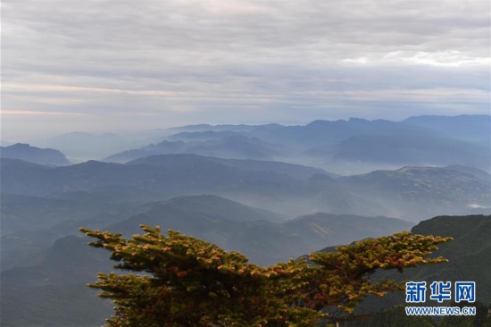 （美丽中国）（4）峨眉山景色秀美