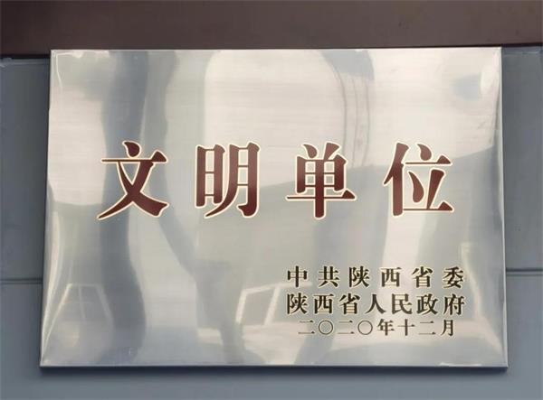灞桥法院荣获省级文明单位称号