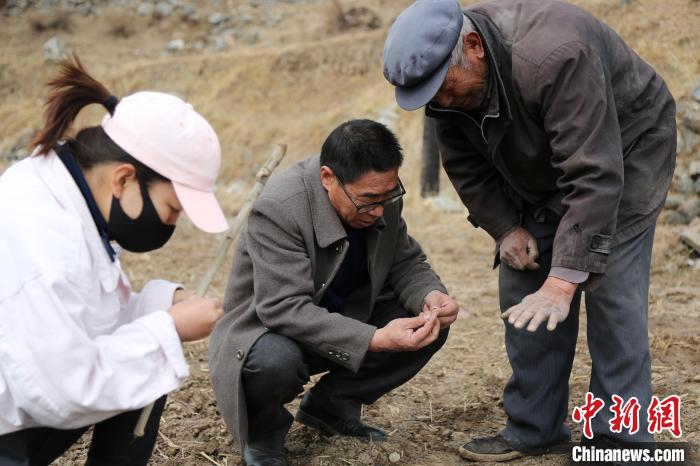 图为农气业务人员在贵德尕让乡开展春耕春播生产气象服务。　赵海梅 摄