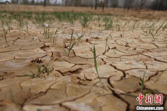 青海西宁已连续62天未出现有效降水多地出现气象干旱