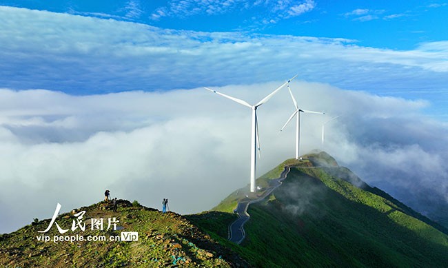 2023年6月11日，江西省赣州市上犹县双溪乡以路引景“串”出美丽风景线。