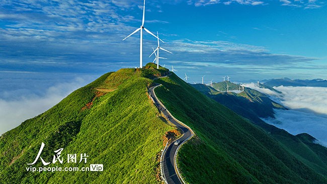 2023年6月11日，江西省赣州市上犹县双溪乡以路引景“串”出美丽风景线。