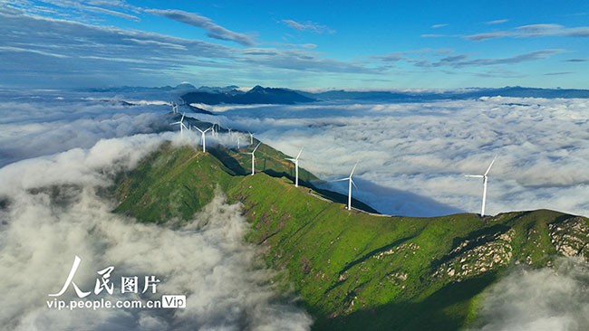 2023年6月11日，江西省赣州市上犹县双溪乡以路引景“串”出美丽风景线。