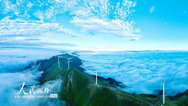 2023年6月11日，江西省赣州市上犹县双溪乡以路引景“串”出美丽风景线。